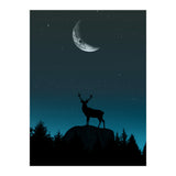 Wild Nature - Nocturne (Print Only) thumbnail