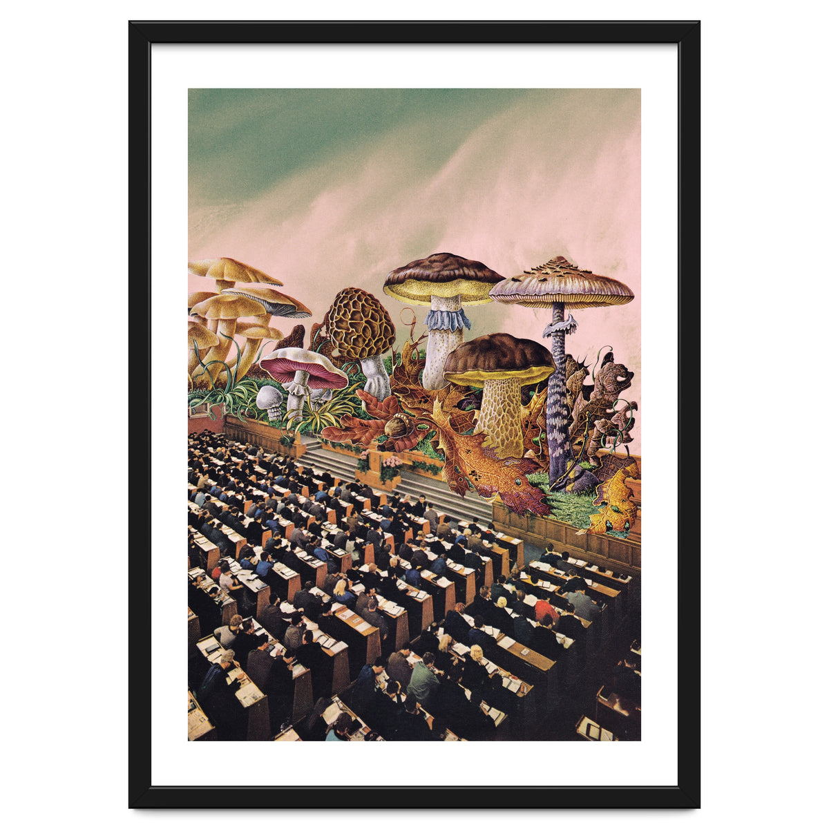 Psychedelic Experience