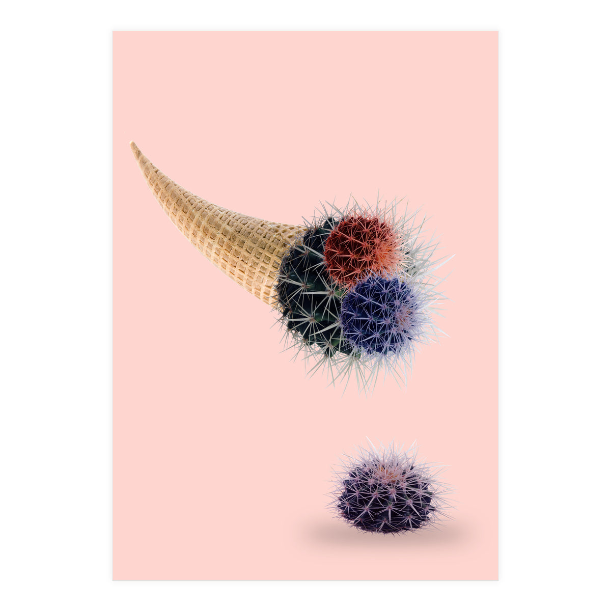 Cactus Cream 50x70 (Print Only)