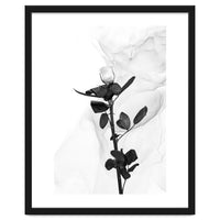 White Rose | Liquid Art