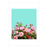 Blissful (Print Only) thumbnail