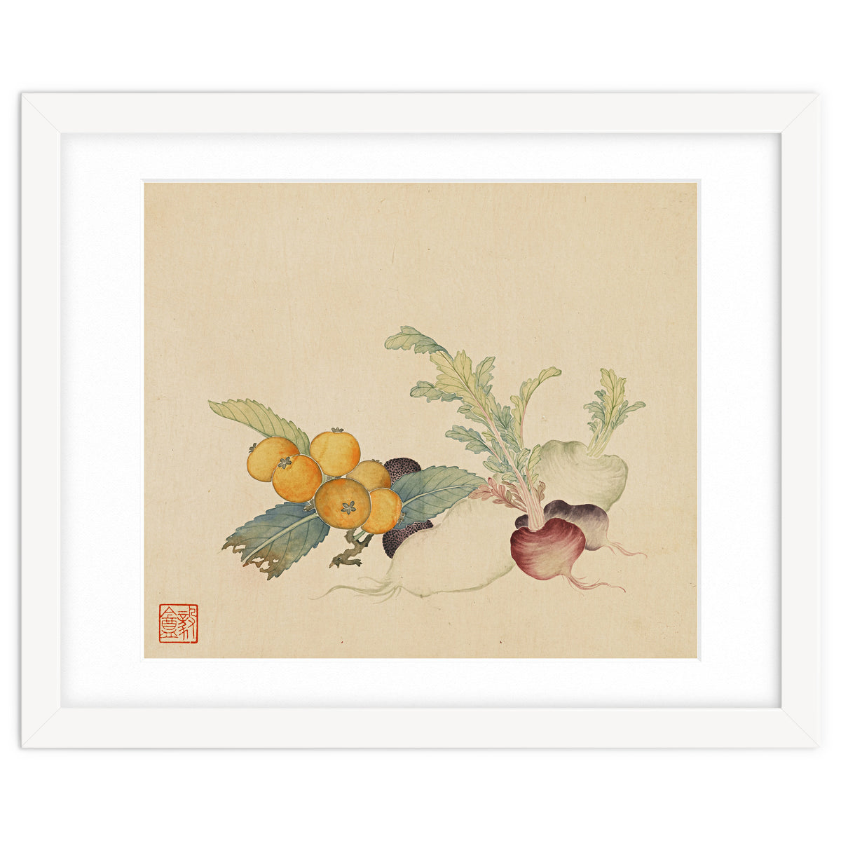 Wang Chengpi~flowers And Vegetables, Vegetables, Fruits, Loquat, White Radish, Carrot, Radish
