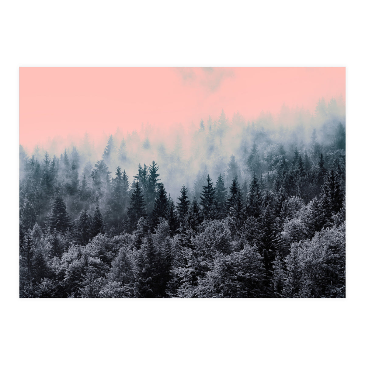 Forest in gray and pink  (Print Only)