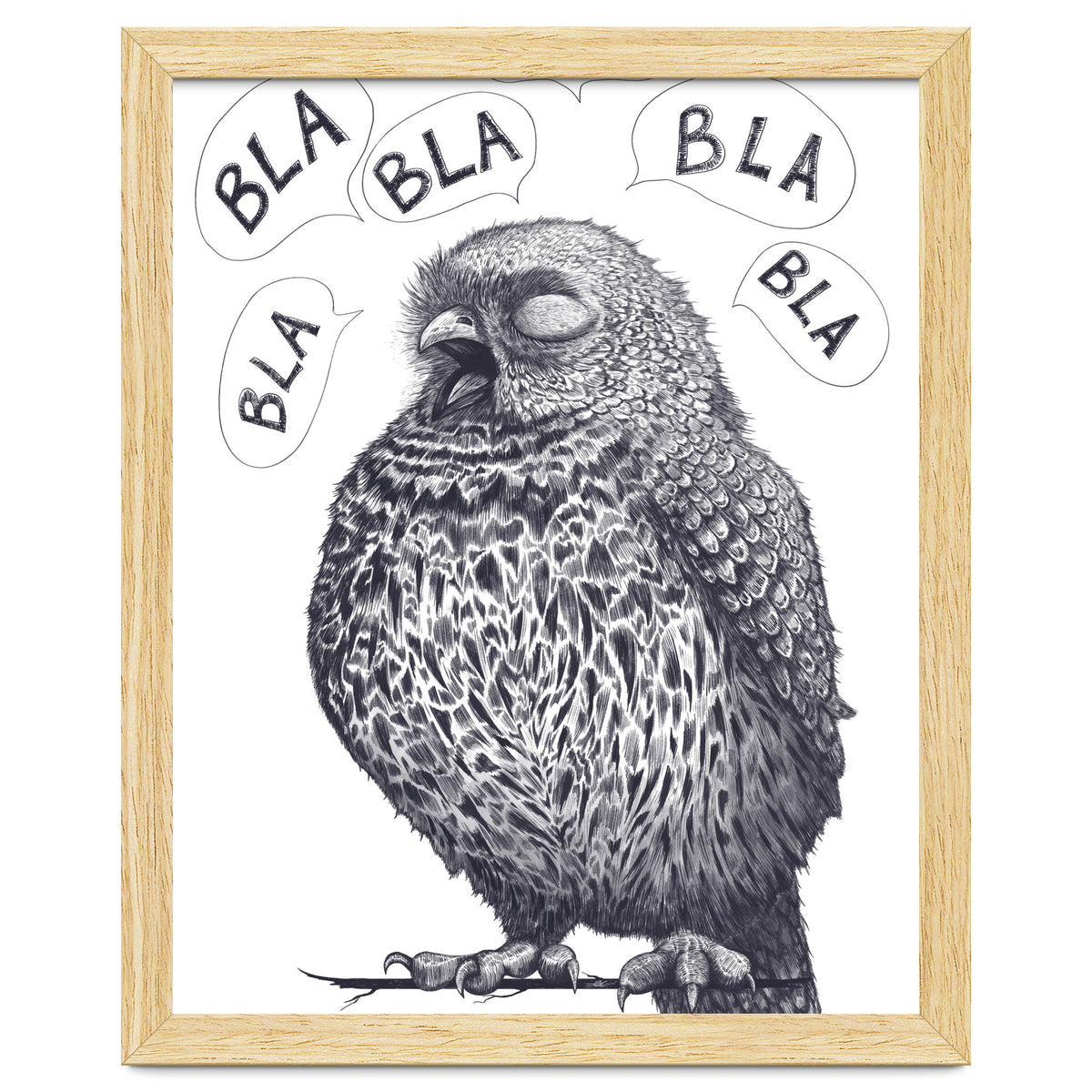 Owl Bla Bla Bla