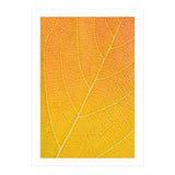Autumn Leaf (Print Only) thumbnail