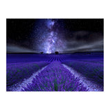 Under The Stars (Print Only) thumbnail