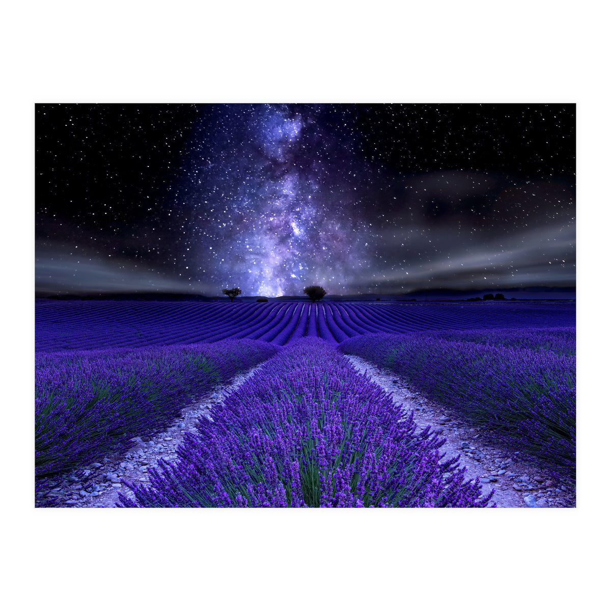 Under The Stars (Print Only)