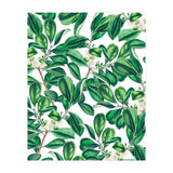 Botanica (Print Only) thumbnail
