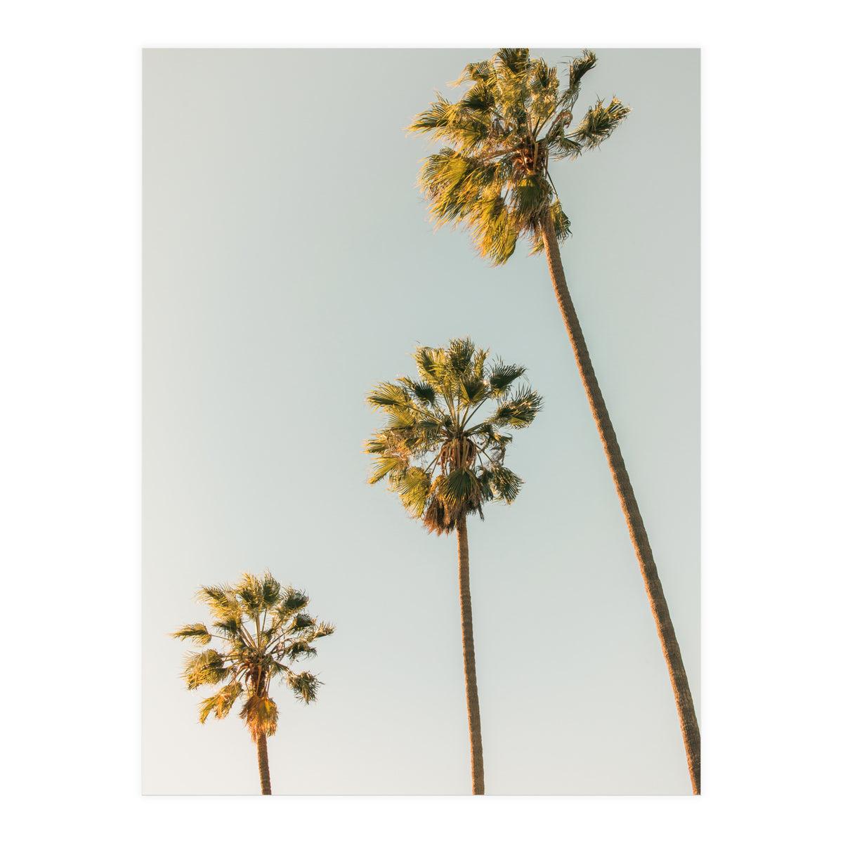 California (Print Only)