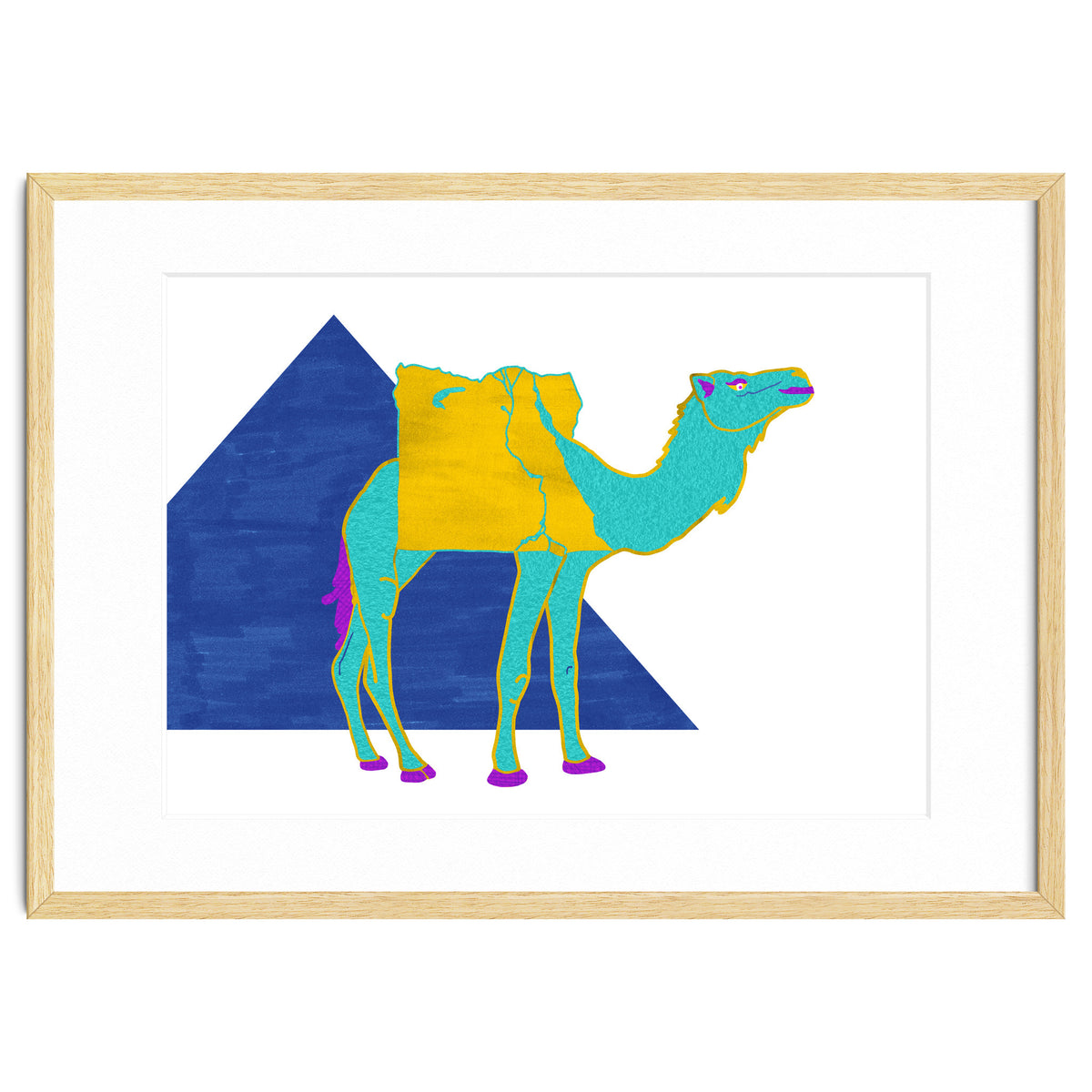 Egyptian Dromedary