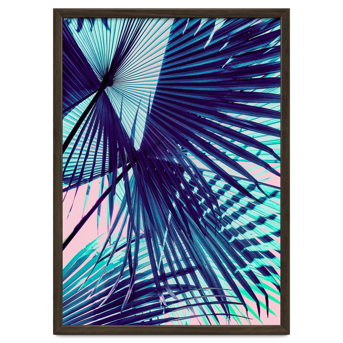 Palm leaf on the beach