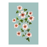 Sadabahar (Print Only) thumbnail