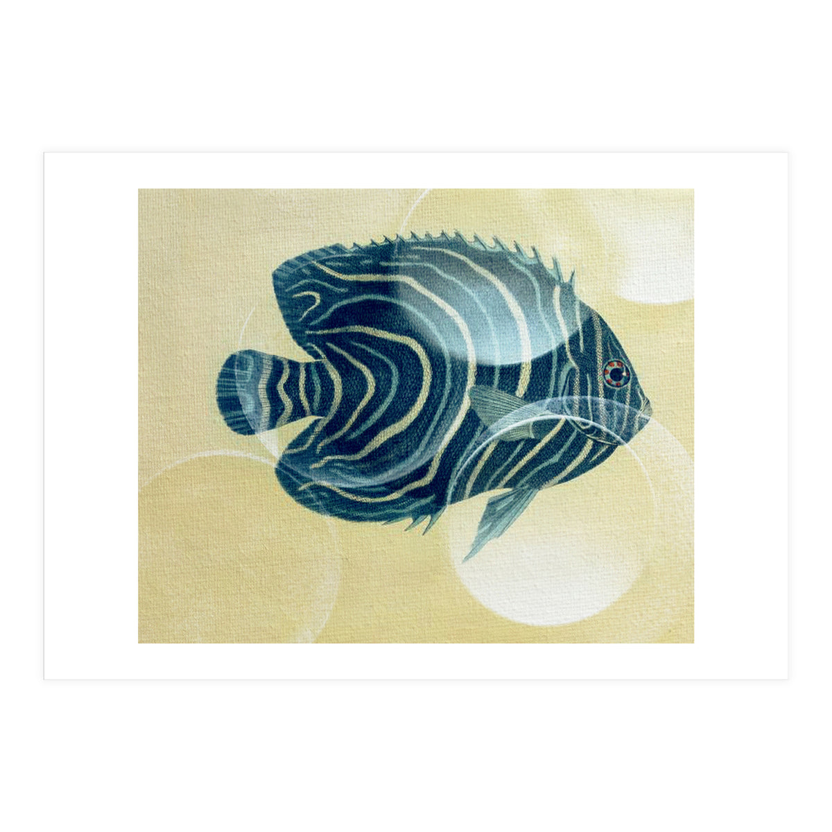 Fish Between Circles (Print Only)