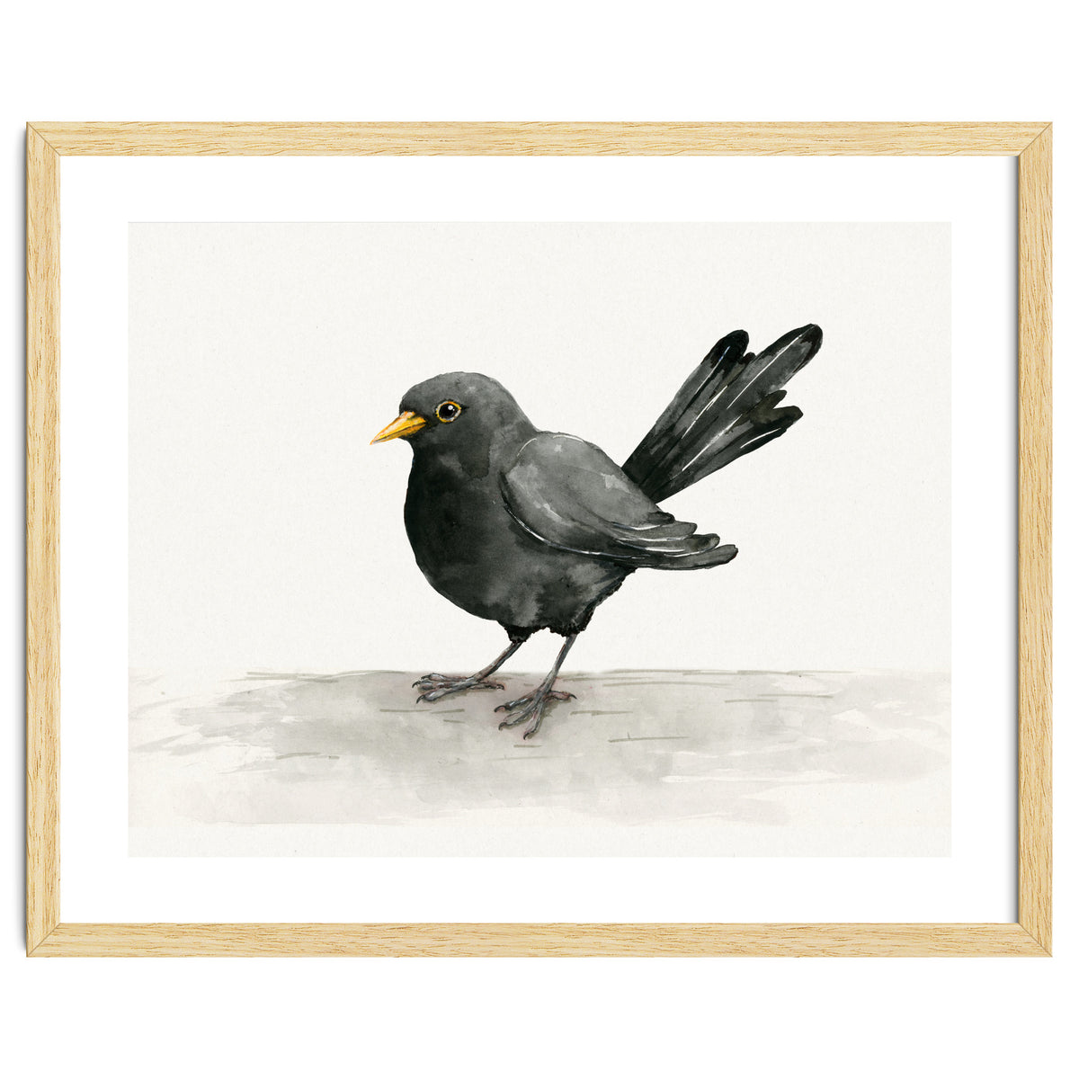 Blackbird ink drawing