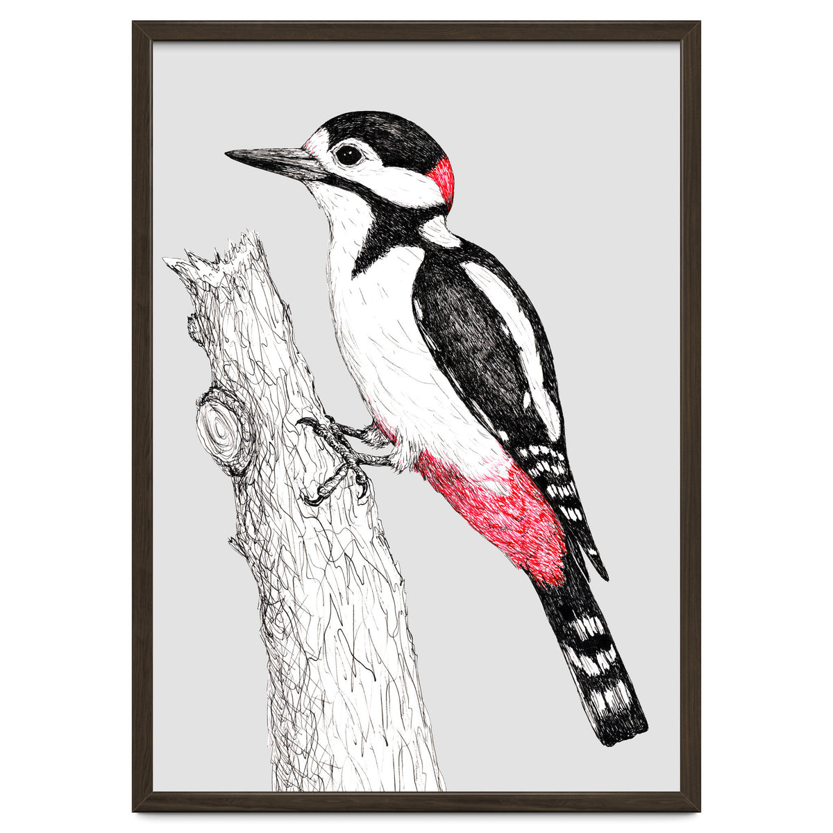 Great spotted woodpecker