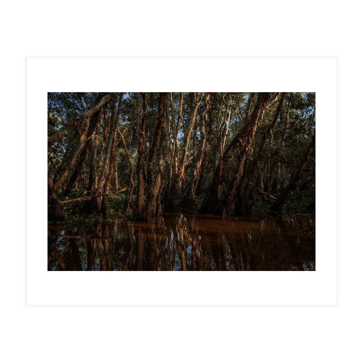 Roots Bloody Roots (Print Only)