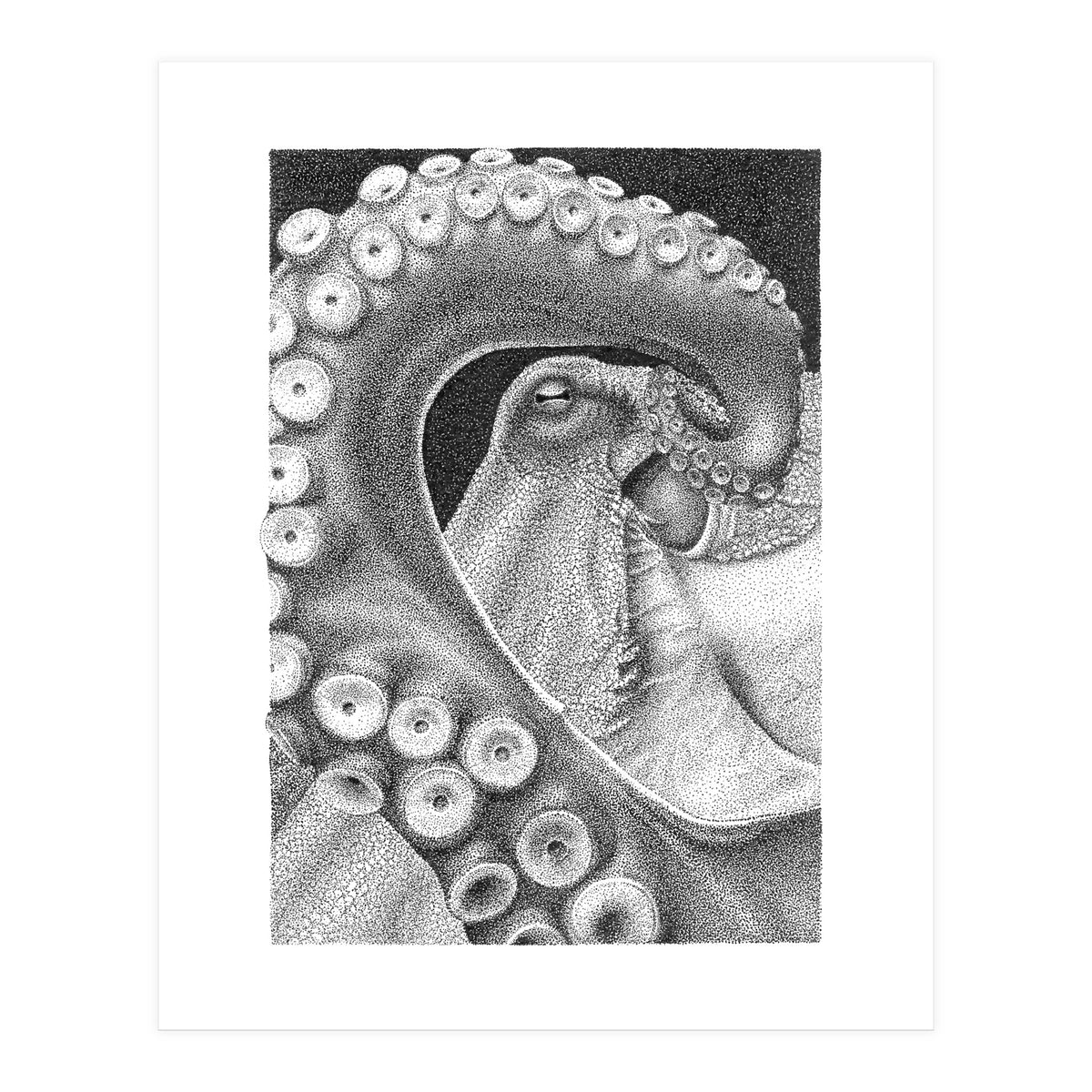 Octopus no. 1 (Print Only)