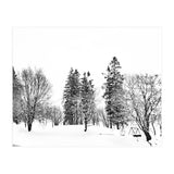 Norwegian Winter (Print Only) thumbnail