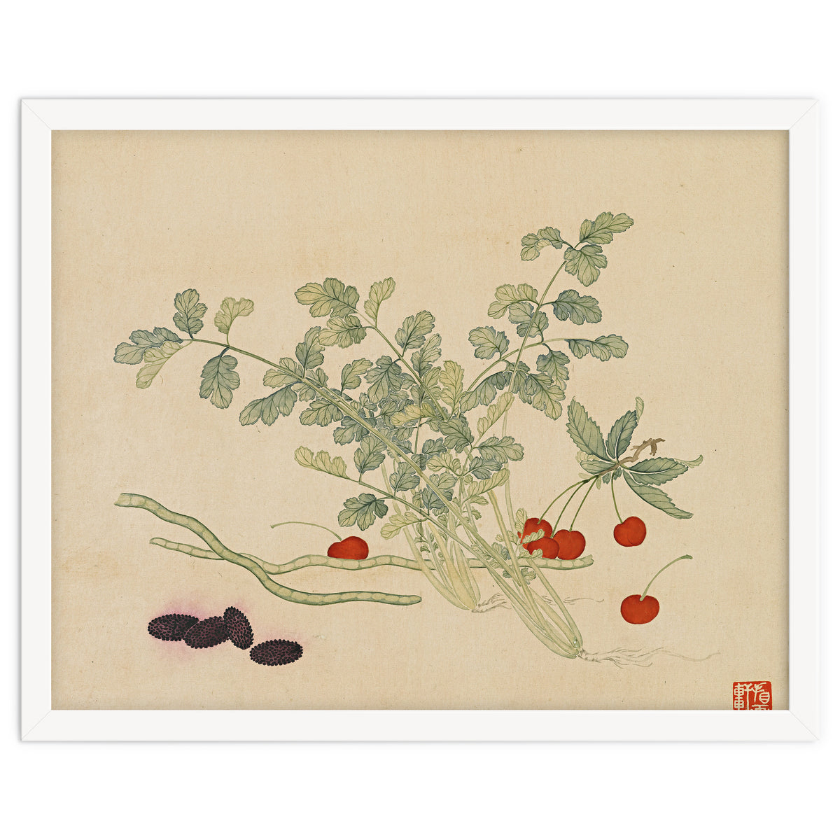 Wang Chengyu~flowers And Vegetables, Vegetables, Fruits, Beans, Red Beans, Cherries, Celery
