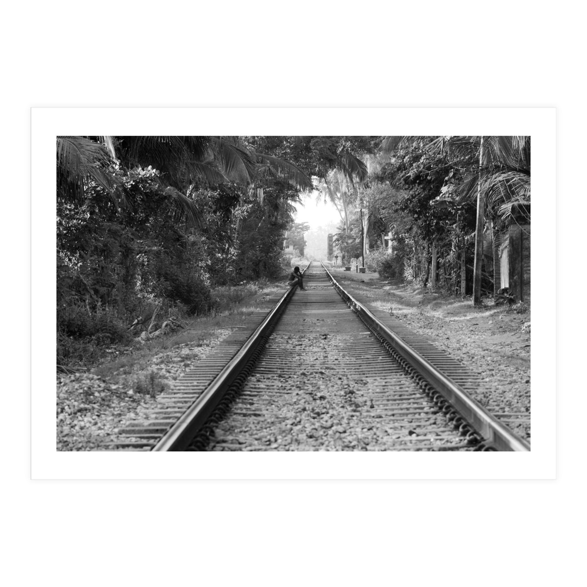 Colombo, Sri Lanka (Print Only)