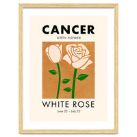 Cancer Birth Flower White Rose