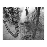 London Eye  (Print Only) thumbnail