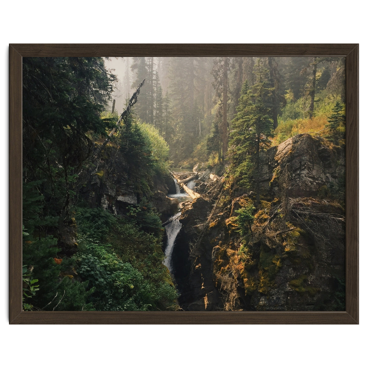 Glacier National Park I