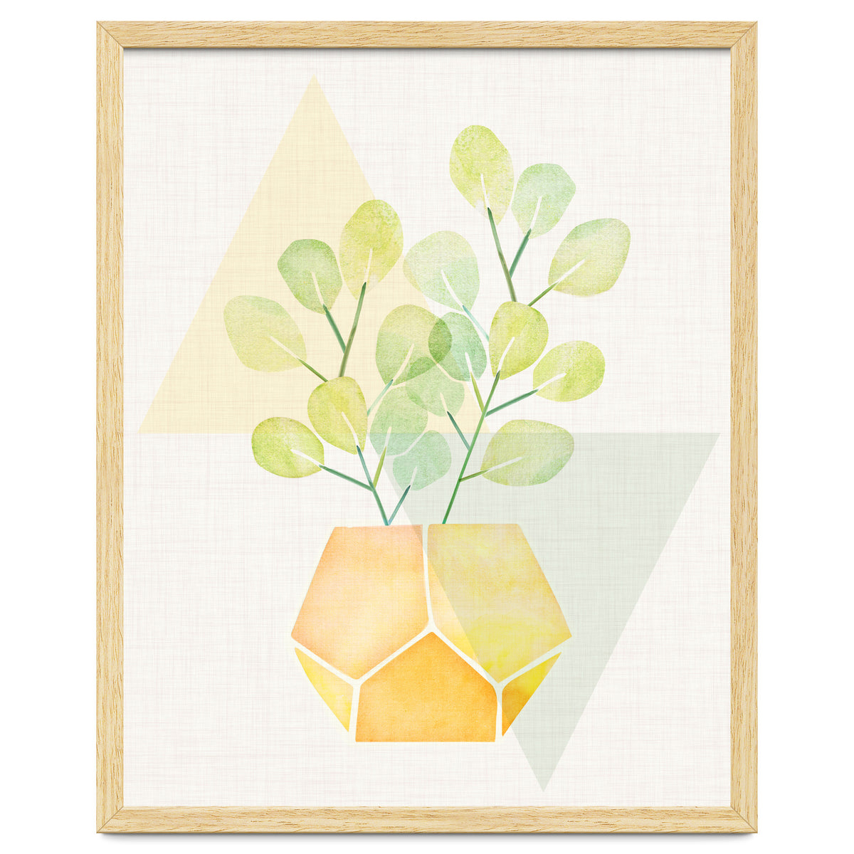 Geometry and House Plant