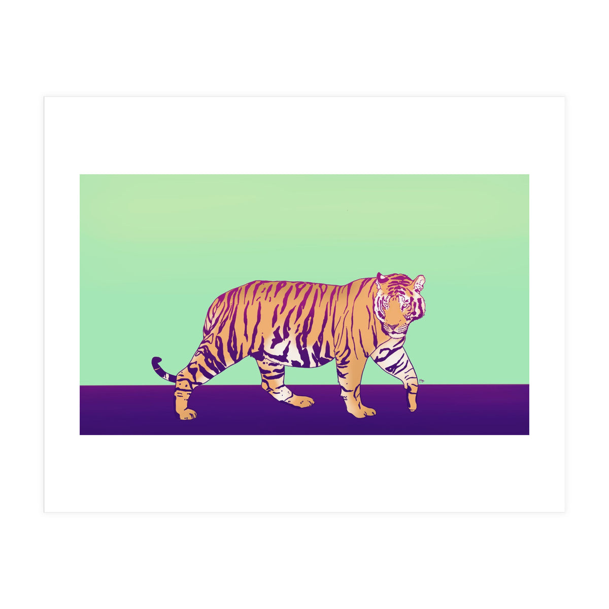 Tiger Under The Sun (Print Only)
