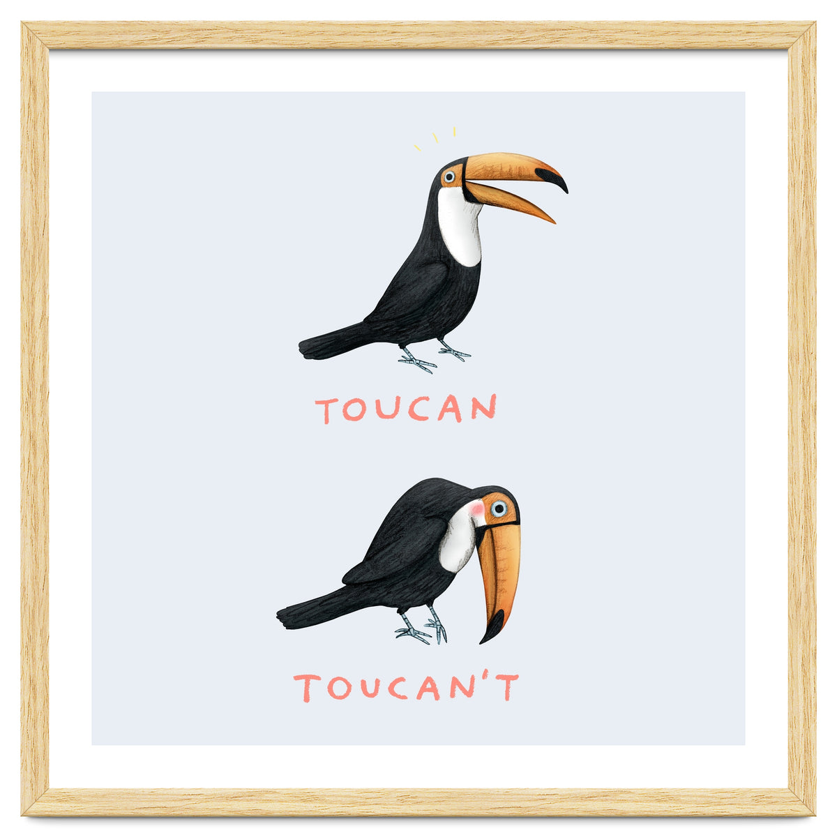 Toucan Toucan't