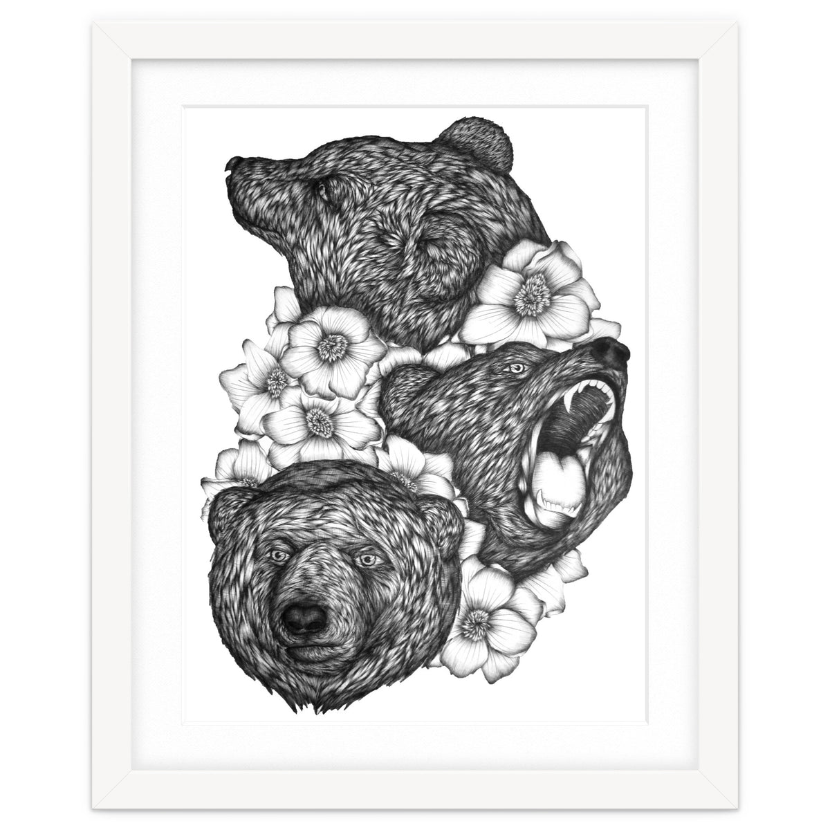 Bears In Bears