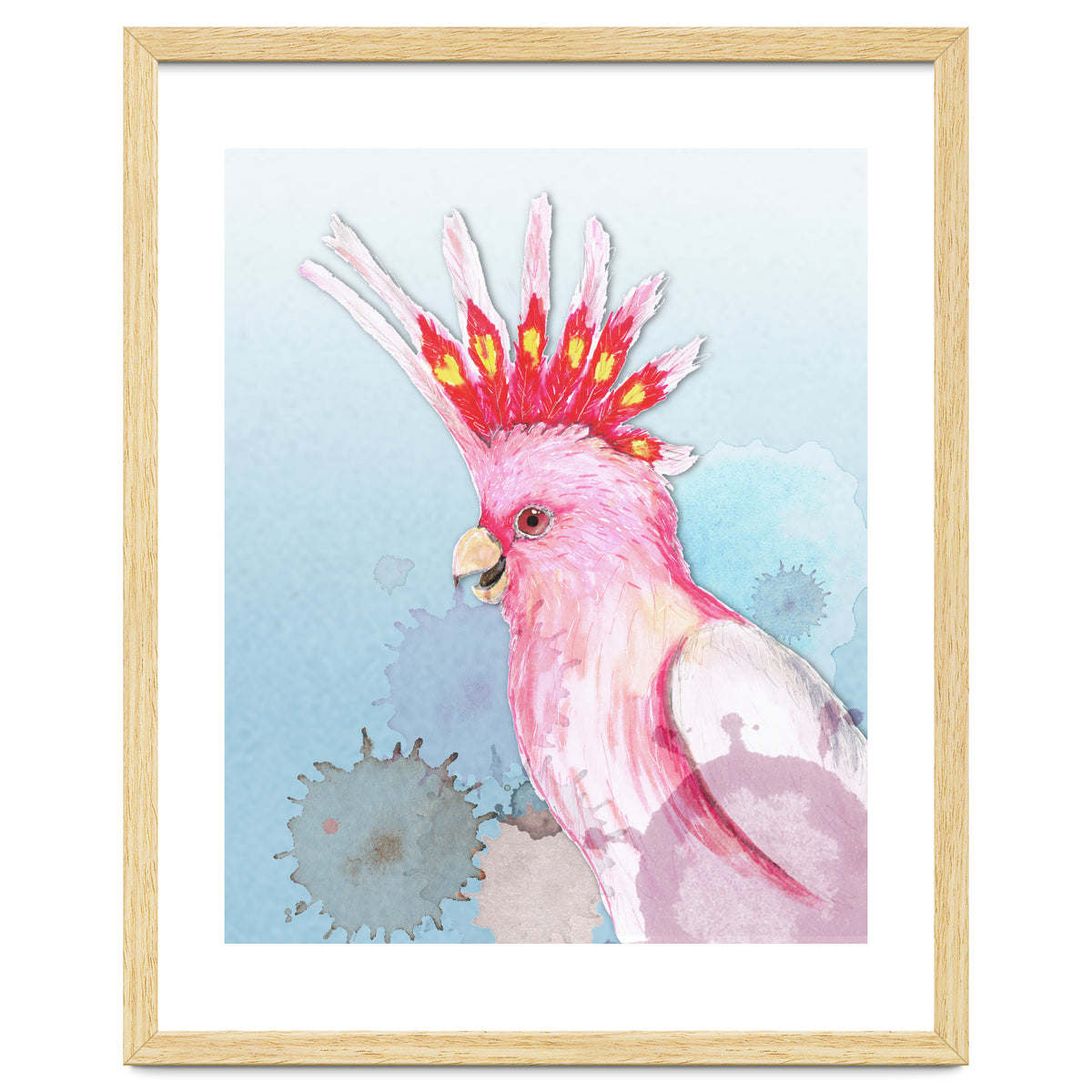 Major Mitchell's cockatoo