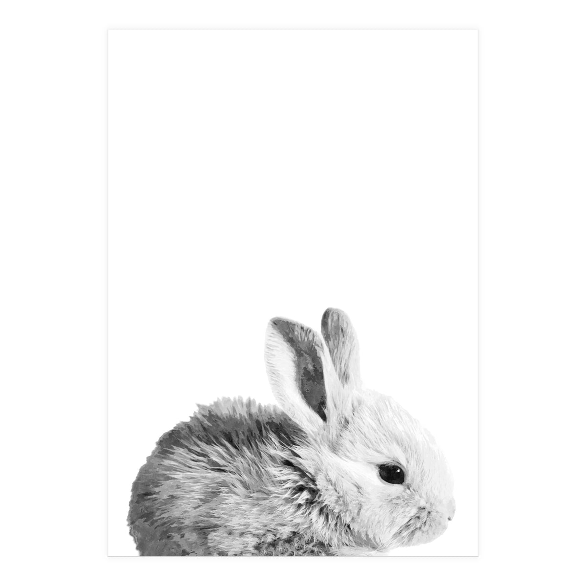 Black and White Bunny Portrait (Print Only)