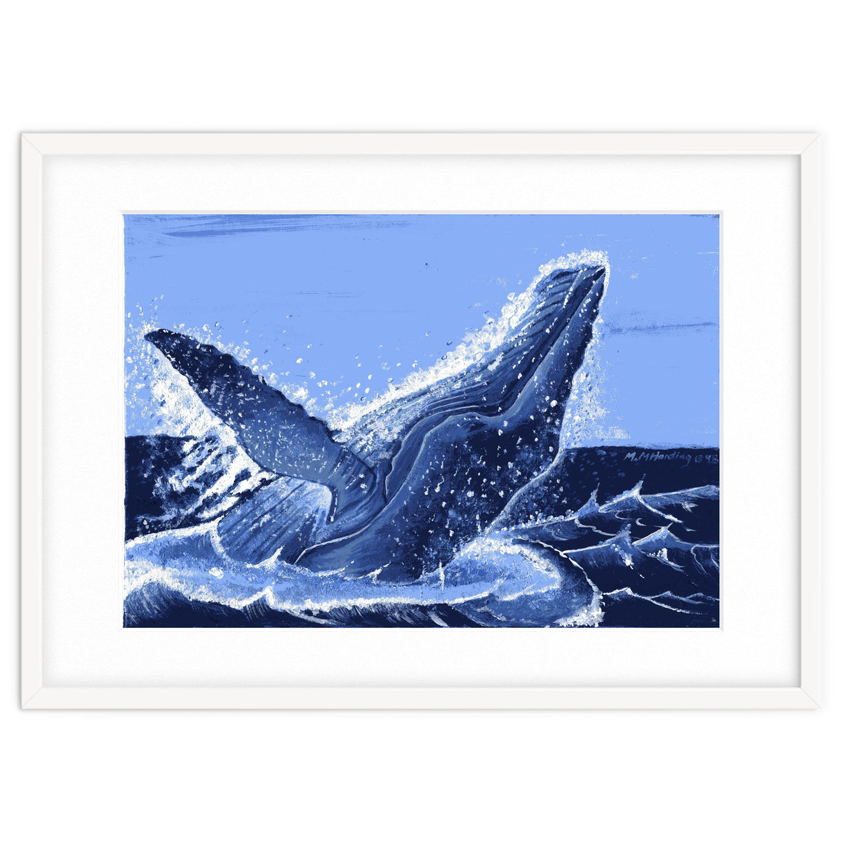 Humpback Whale Breaching