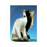 KatzenJammer 13 (Print Only) thumbnail