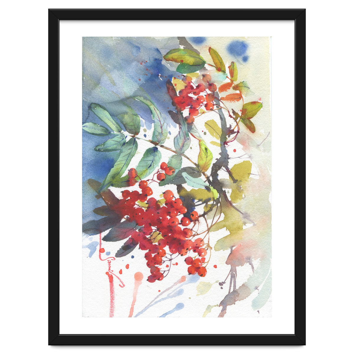 Viburnum / Guelder rose