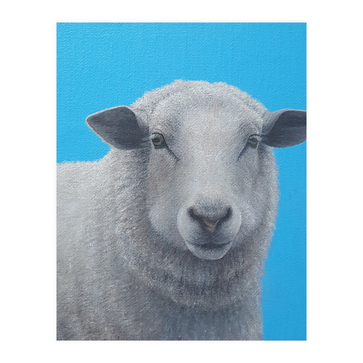 Sheep (Print Only)