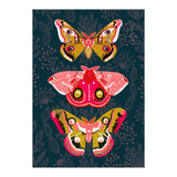 Lepidoptery Study No. 4 (Print Only) thumbnail