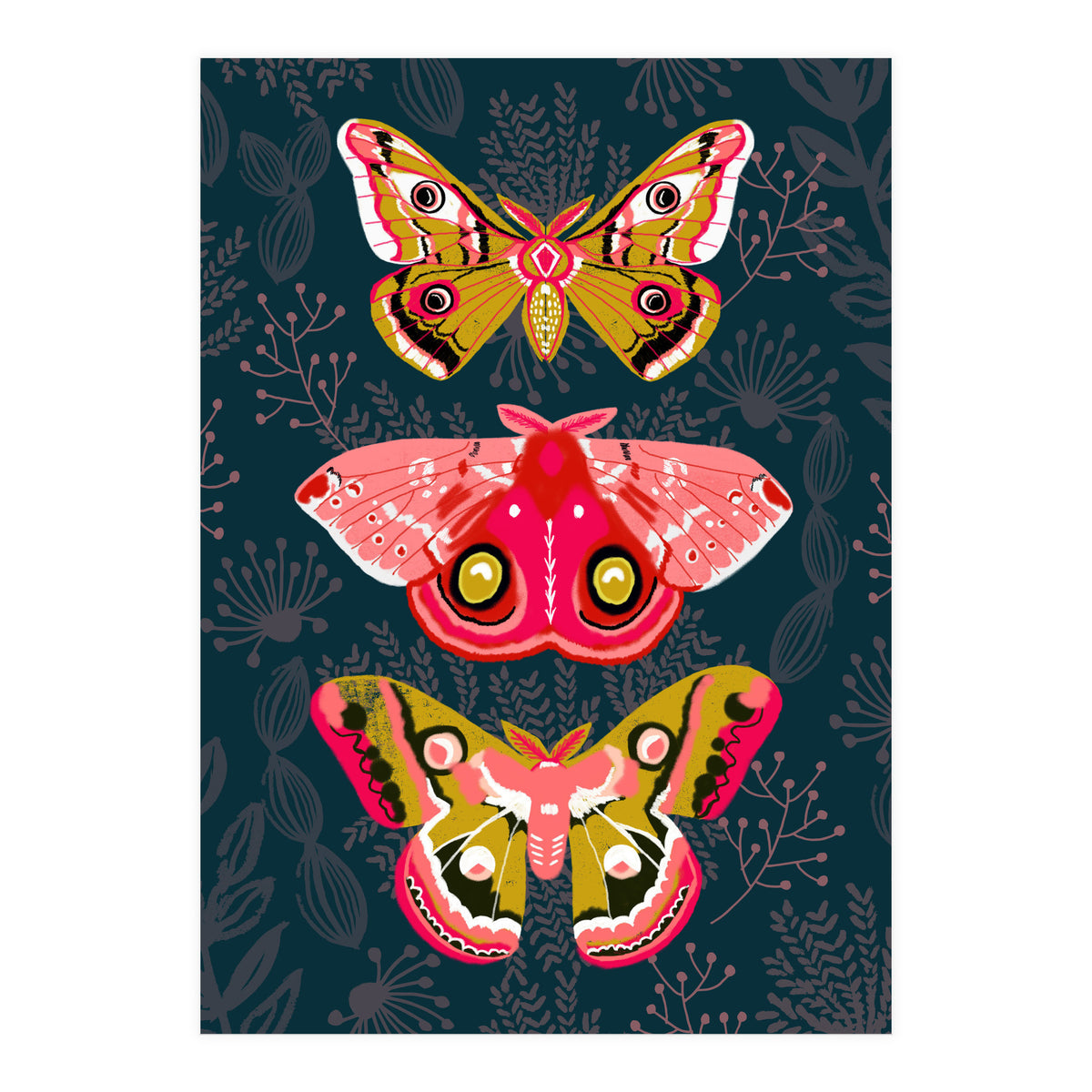 Lepidoptery Study No. 4 (Print Only)