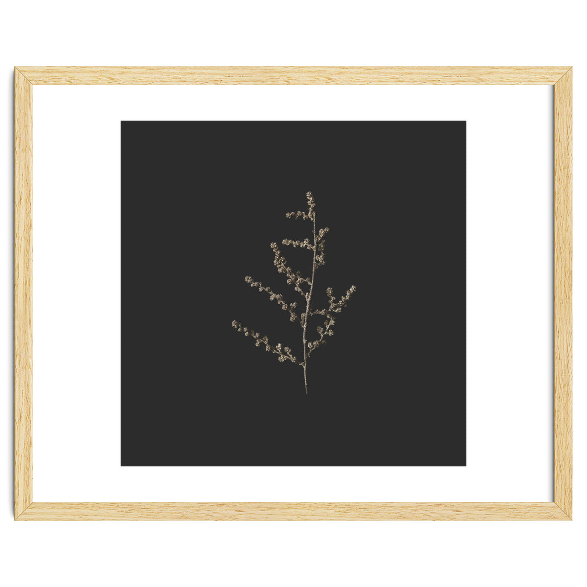 Dainty Botanicals in Gold and Black - Square