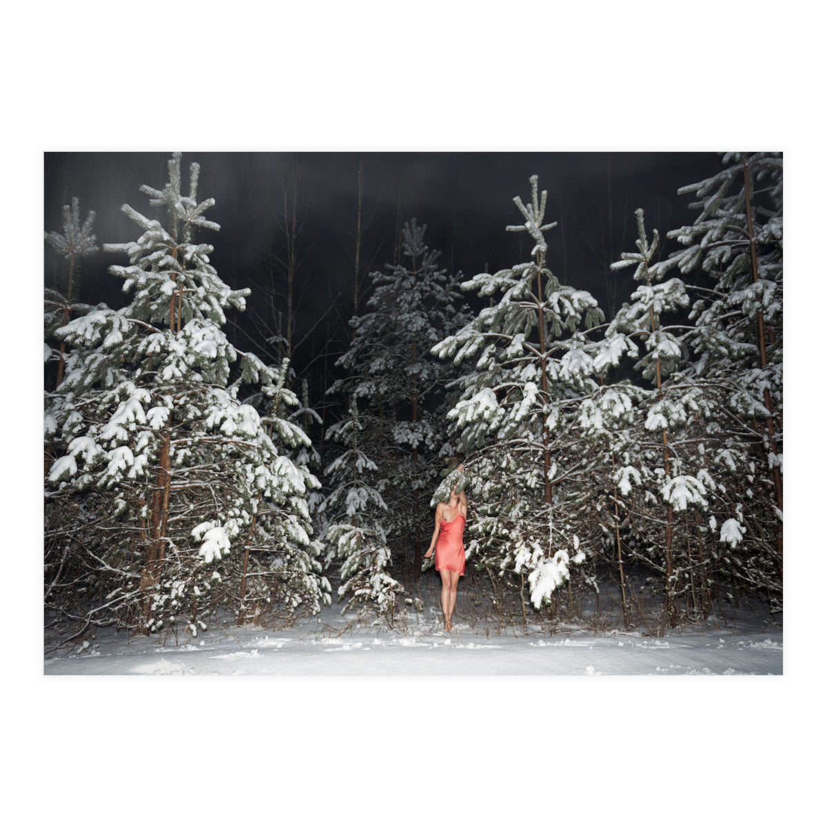 Hiding Game (Print Only)