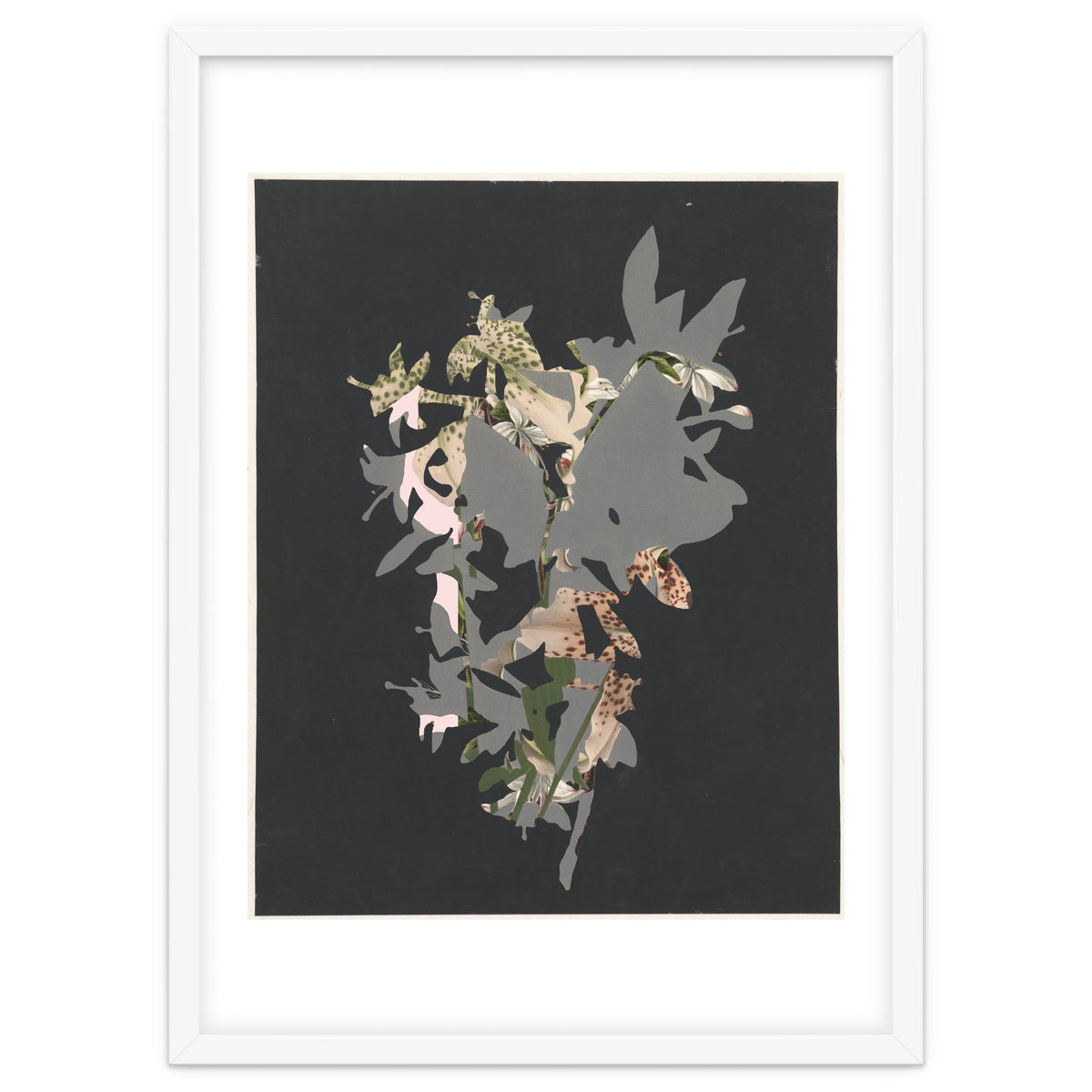 The First Plant · Black