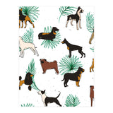 Miracles With Paws (Print Only) thumbnail