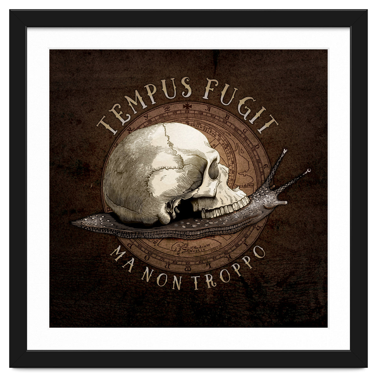 Tempus Fugit (ma non troppo)