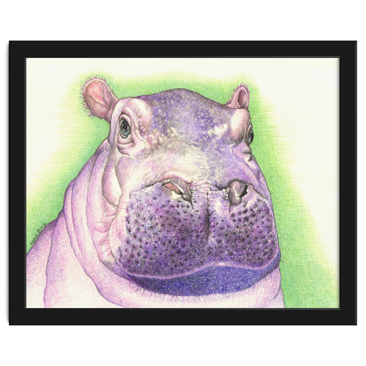 Purple Hippo