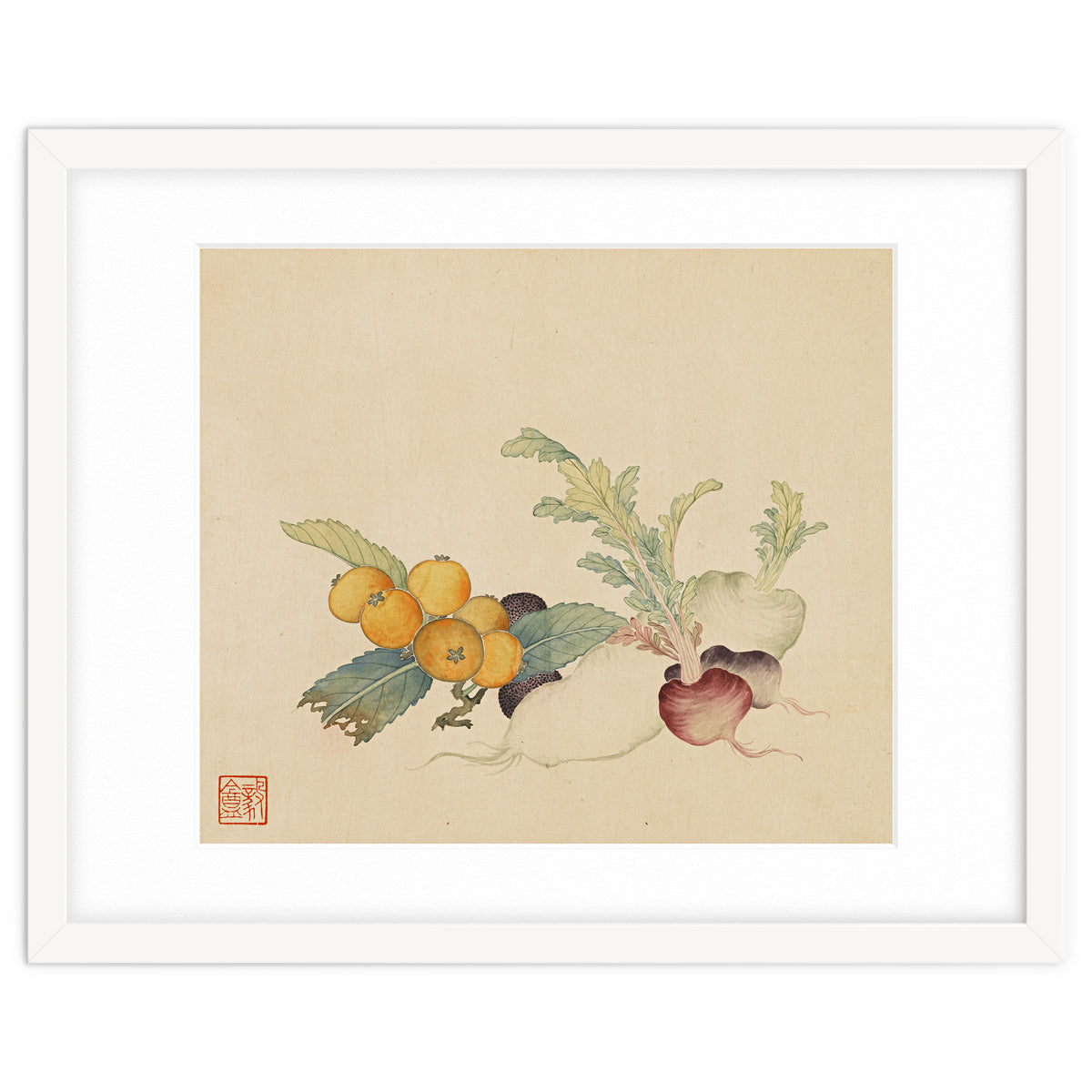Wang Chengpi~flowers And Vegetables, Vegetables, Fruits, Loquat, White Radish, Carrot, Radish