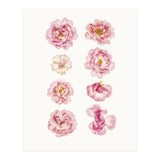 Cc Flower 04 (Print Only) thumbnail