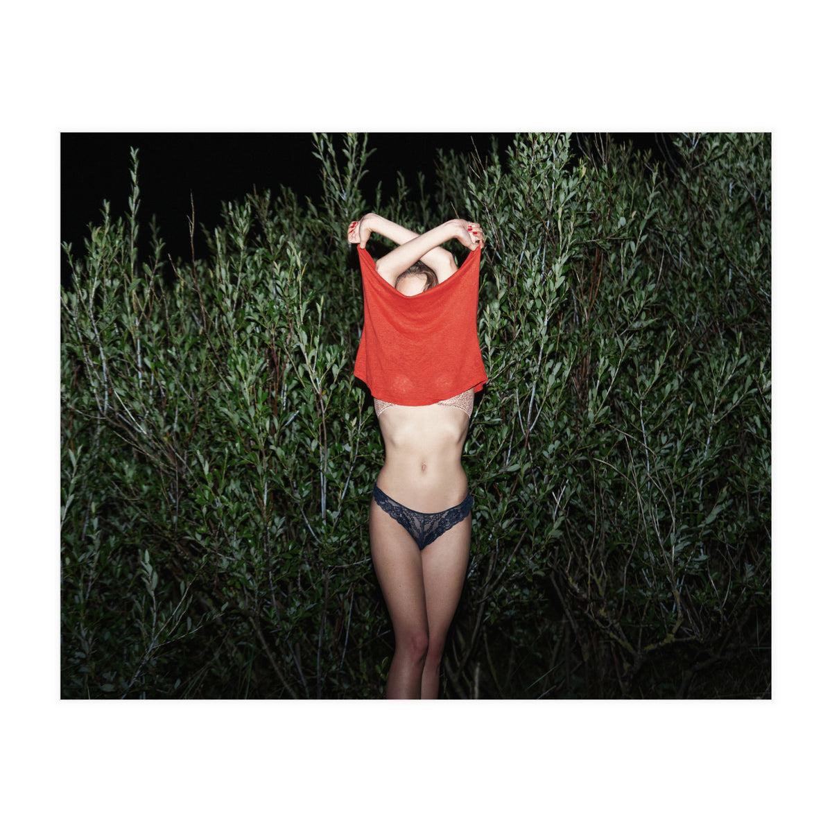 Pomegranate (Print Only)