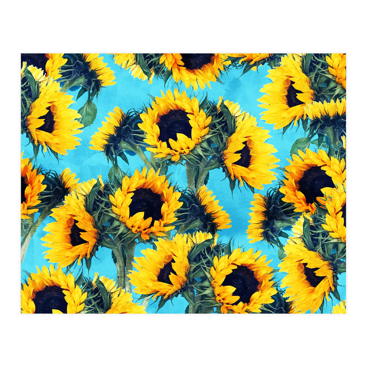 Sunflowers & Sky (Print Only)