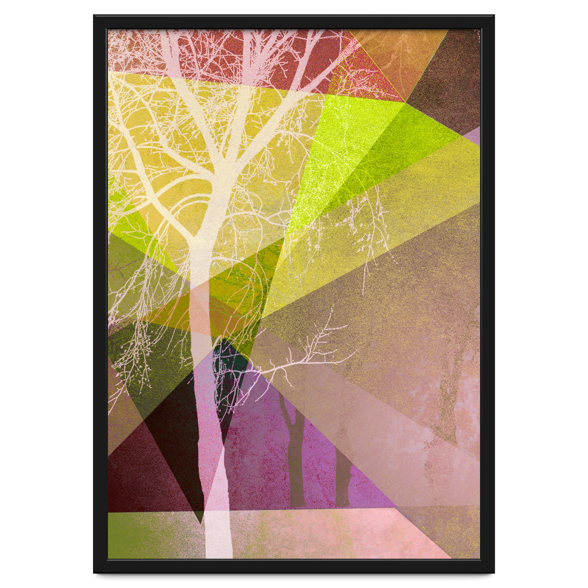 P22 Trees And Triangles